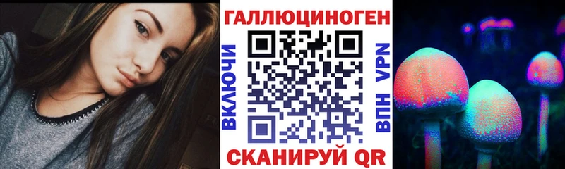 Галлюциногенные грибы Psilocybine cubensis  Петрозаводск 
